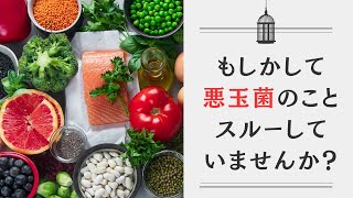 【ヨーグルトで免疫力あげている人必見】善玉菌と悪玉菌と第３の日和見菌があなたの腸を強くする！【効果的な腸活】のために知ってほしい悪玉菌のこと！