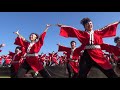 犬山踊芸祭（2017 6 3）名古屋学生チーム『鯱』「結び」（石作公園メイン会場）