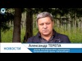 Зелёный щит для Новосибирской области. Кто и как будет создавать новые городские парки и скверы