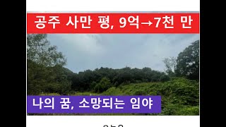 공주 사만 평, 9억→7천 만 (나의 꿈, 소망되는 임야)