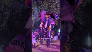 ഇത് താൻടാ എൻ സ്റ്റൈൽ || പുതുപ്പള്ളി സാധു || #elephant #pooram #festival #trending #shorts #viral