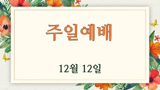 대구제이교회 | 2021.12.12 | 주일예배 | 김영석 목사