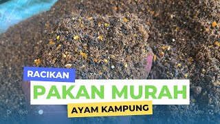 PAKAN MURAH AYAM KAMPUNG