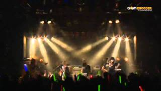 Falcom jdk BAND 2011 X'mas Live in YOKOHAMA BAY HALL