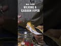 Mike Perry Milking A Gaboon Viper