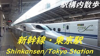 Take a walk inside shinkansen・Tokyo Station　新幹線・東京駅構内を散歩