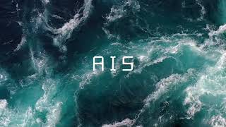 Introduction to AIS