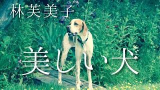 朗読　林芙美子『美しい犬』