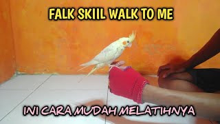 BURUNG PARKIT AUSTRALIA / FALK SKIIL WALK TO ME DAN CARA MELATIHNYA