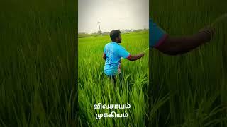 விவசாயம் முக்கியம் மக்களே #விவசாயம் #விவசாயி #trending #shortvideo #reels #tending #farmers