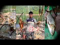 hunting & fishing / yos hav zoov thiab nuv ntses nyob qab moos cab / pas tauv naj nyeej 2. EP. 2