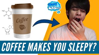 Coffee Makes Me Sleepy Science Behind Caffeine Explained