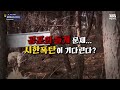 “개고기 막으면 뭐하나” 불법투견장 급습 현장 이슈라이브 sbs