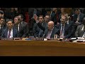 Russia vetoes Syria gas attack probe