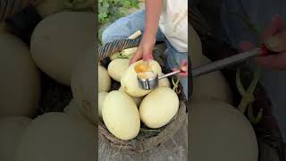 Beautiful Nature - Inspur Fresh Fruit wonderful video of Industry #4839