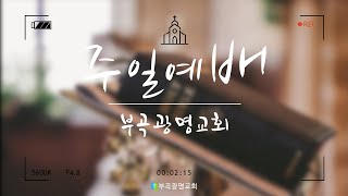 [하나님 우편에 앉으시리라(마16:19~20)]24.12.29 주일오전예배