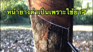 หน้ายางดำเกิดจากการใช้สารเร่งจริงหรือเปล่า