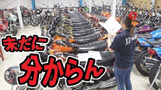 台風の目となったモデルたち、Z1から始まった派生モデルは何車種あるの？【悲劇】覚えられない、長期放置されたお宝バイクはありませんか？