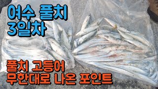 여수 화태도 풀치 고등어 낚시~무한대로 나왔네요! /  뼈다귀삼촌 동시공개!포인트!