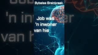 dK  Bybelse Breinkraak  27 Februarie 2024