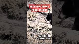 When Bears Attack: NORTH AMERICA