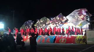 黒潮よさこい祭り(20241124_特別演舞)鴉