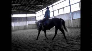 Jojimas zovada. Riding gallop.