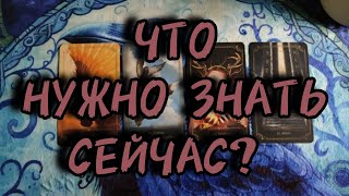 🌚Что нужно знать сейчас?