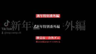 埼玉県 秩父市 合角ダム 僕らには見えないナニカ... #心霊 #心霊スポット #心霊現象 #合角ダム #合角漣大橋 #espcampchannel #esp_junzan