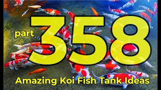 365 days raising Kohaku - Showa Sanke - Utsurimono in a cafe 358 | The Sea Vlog