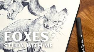 Draw With Me 🦊