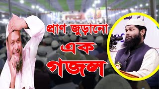 গজল প্রাণ জুড়ানো গজল আল জামিয়া আস সালাফিয়া রাজশাহী abdur razzak bin yousuf