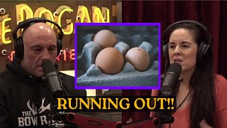 Joe Rogan: Why are EGGS SO EXPENSIVE? 💰🥚 | JRE w/ Bridget Phetasy #1941