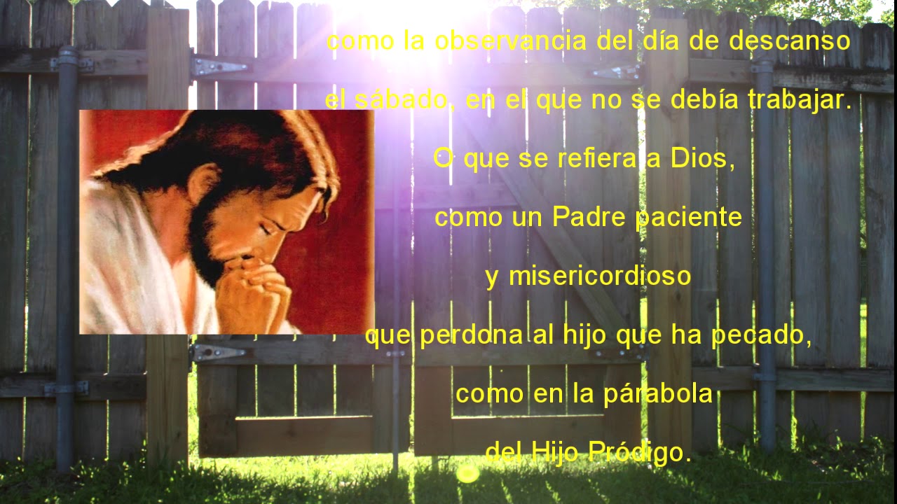 Reflexión Del Evangelio Del Domingo 5 De Julio 2020 - YouTube