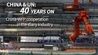 The Point:  China WFP cooperation in the diary industry