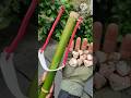 Handmade Survival Craft With Bamboo #diy #craft #youtubeshorts #wood #bamboo