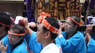 新宿花園神社　本社神輿 渡御　三光町町会