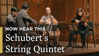 Schubert's String Quintet | The Schubert Generation | Now Hear This | Great Performances on PBS