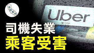 司機必須轉為正式雇員/Uber恐暫停加州公司業務