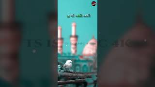 Imam Hussain WhatsApp status vide muharram taqreer status short video WhatsApp Status 2022 #shorts