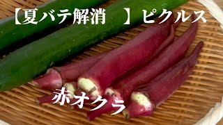 【オクラのピクルス】‥‥『夏バテ解消』ネバネバ成分パワー‥免疫力アップも