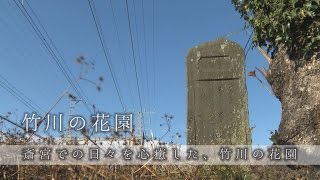 日本遺産~祈る皇女斎王のみやこ 斎宮~7竹川の花園