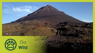 Cape Verde | Lava Lovers 1/4 | Go Wild