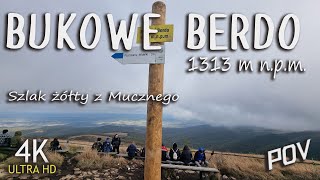 Bukowe Berdo 1313 m n.p.m. Bieszczady POV  (4K)