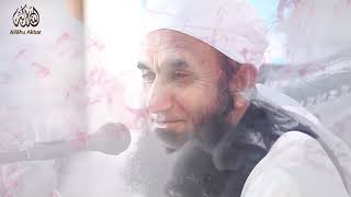 Allah ki Taraf || Very Emotional Bayan of Maulana Tariq Jameel | Light Of Islam