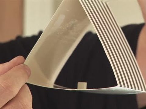 How To Get Rid Of Moths In Your House How To Get Rid Of Moths In Your House
