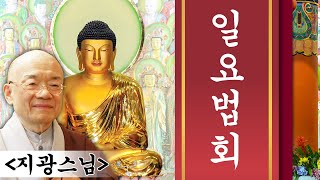 일요법회 27 : 눈이 먼 밀턴(milton)의 고백