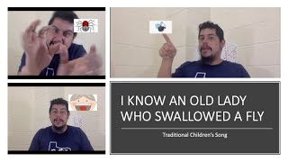 Mr. D's Class: I Know An Old Lady Who Swallowed a Fly--with Hand Motions