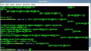Terminal Session Recorder - Linux Shell
