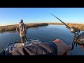 keeper speckled trout in the marsh they re back